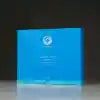 Hyaluronic Delivery Face Masque - 10 Pack