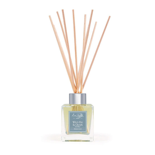 Wild Fig & Grape reed diffuser in clear square glass bottle with natural rattan reeds